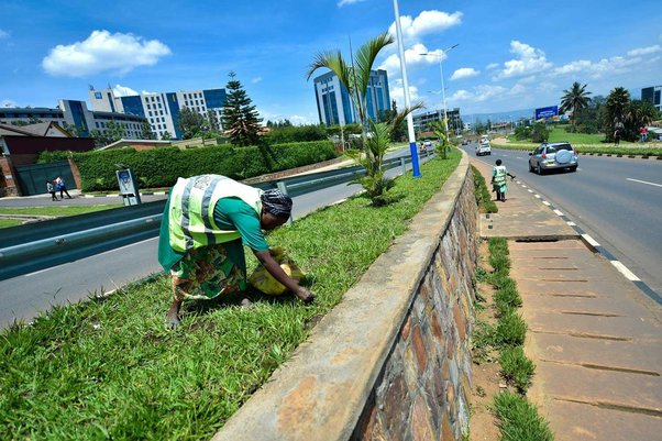 People Cleaning Grass in Kigali